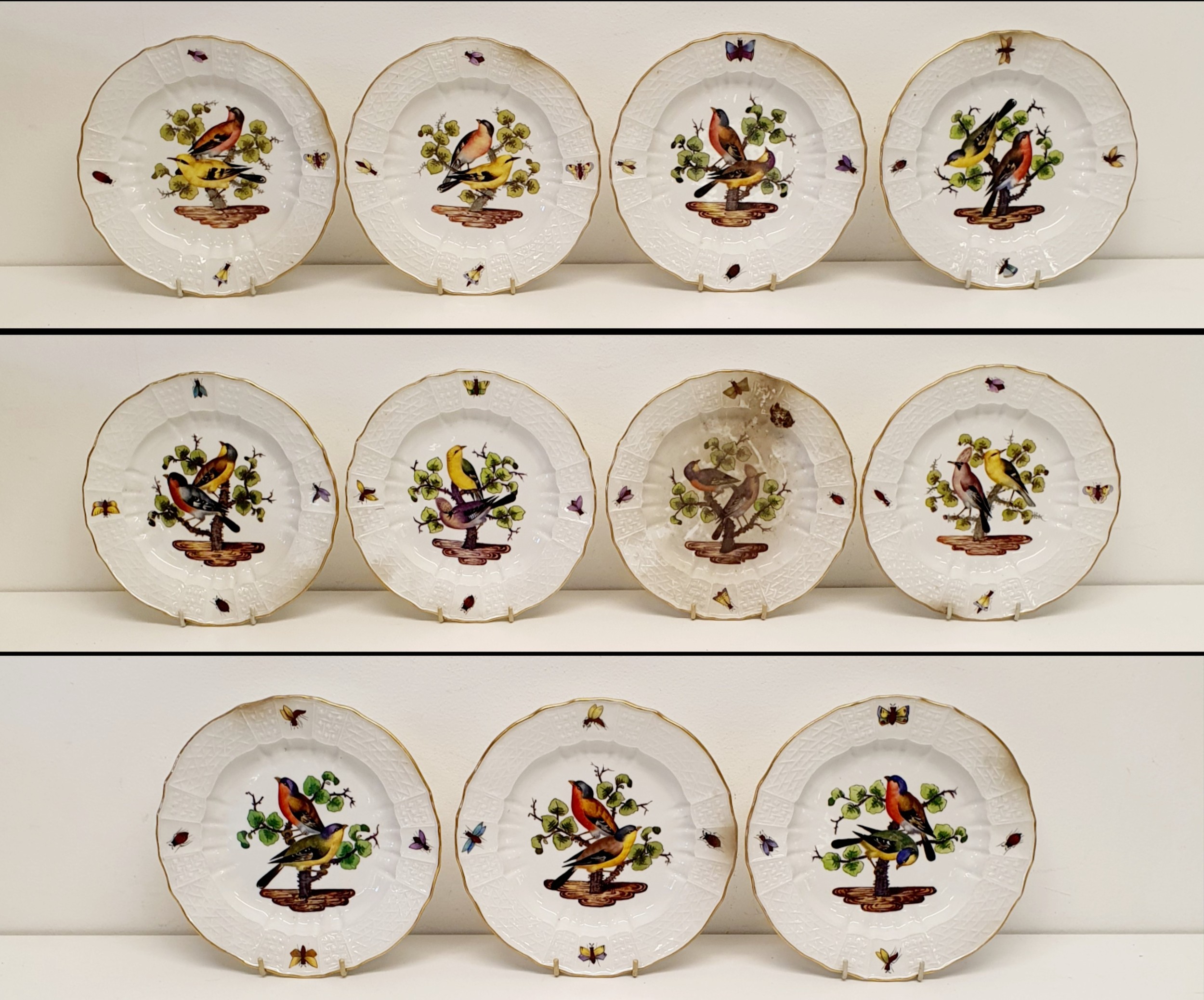 An extensive Meissen Augustus Rex Ornithological dinner service, decorated exotic birds, insects and - Image 4 of 25