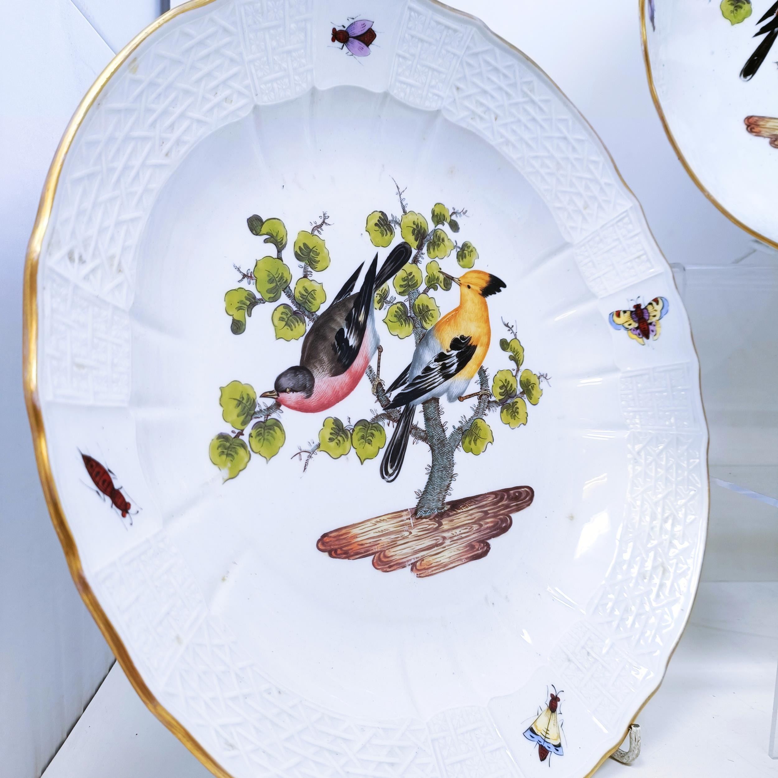 An extensive Meissen Augustus Rex Ornithological dinner service, decorated exotic birds, insects and - Image 16 of 25
