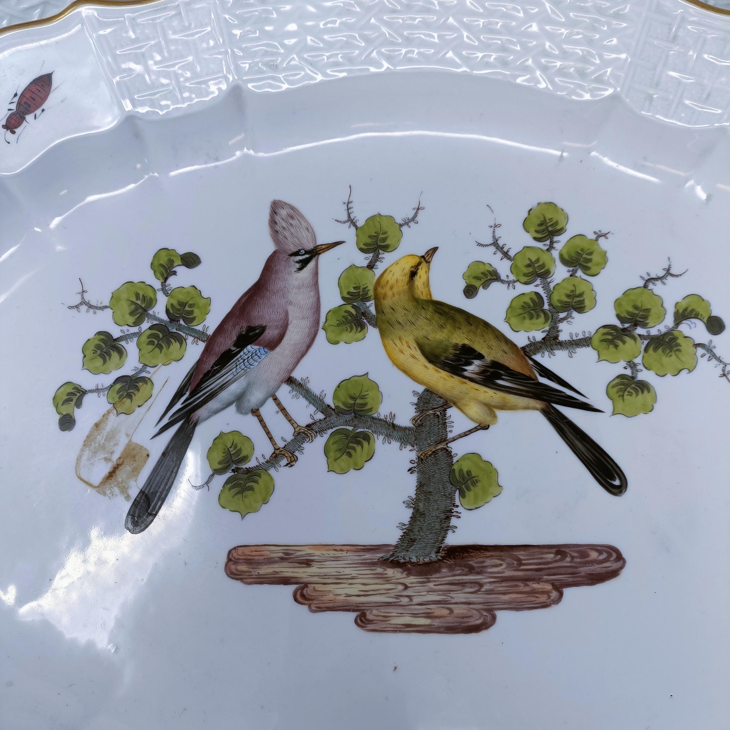 An extensive Meissen Augustus Rex Ornithological dinner service, decorated exotic birds, insects and - Image 13 of 25