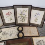A set of three prints of flowers, and assorted other prints and pictures (box)