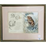 Elaine Franks, studies of a water vole, with motto, watercolour and charcoal, signed, 23 x 32 cm