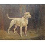 T Webster Lloyd, pet portrait, Vim, oil on canvas, 18 x 24 cm Condition untouched, light surface