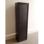 A gun cabinet with key, and soft gun carry case Height - 84 cm Width - 23 cm Depth -16 cm