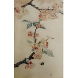 Early 20th century, English school, a blossoming branch with a bee, watercolour, initialled KC, 38 x