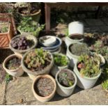 Assorted stone and ceramic garden pots (qty)