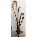 A snake skin walking stick, a carved horn walking stick, assorted other walking sticks and a stand