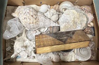 Assorted fossils, minerals and other items (4 boxes)