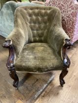 A 19th century mahogany button back armchair, and a set of four mahogany back dining chairs (5)