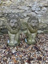 A pair of composite stone lions, 54 cm high