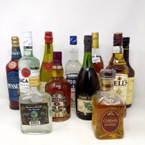 A bottle of Bacardi, a bottle of Bells Scotch whisky, assorted other spirits and liqueurs (11)