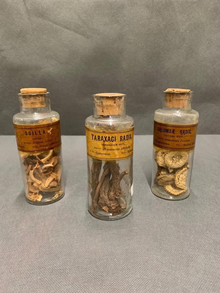 A group of 3 antique apothecary jars with original contents, scilla, slaumae radix, taraxaci radex