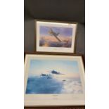 A pair of signed aviation prints Flight of Eagles, slightly sun bleached, signed in pencil by Robert