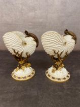 A pair of 19th century nautilus shell vases