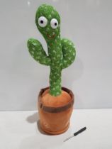 50 X BRAND NEW DANCING CACTUS IN 1 LARGE BOX