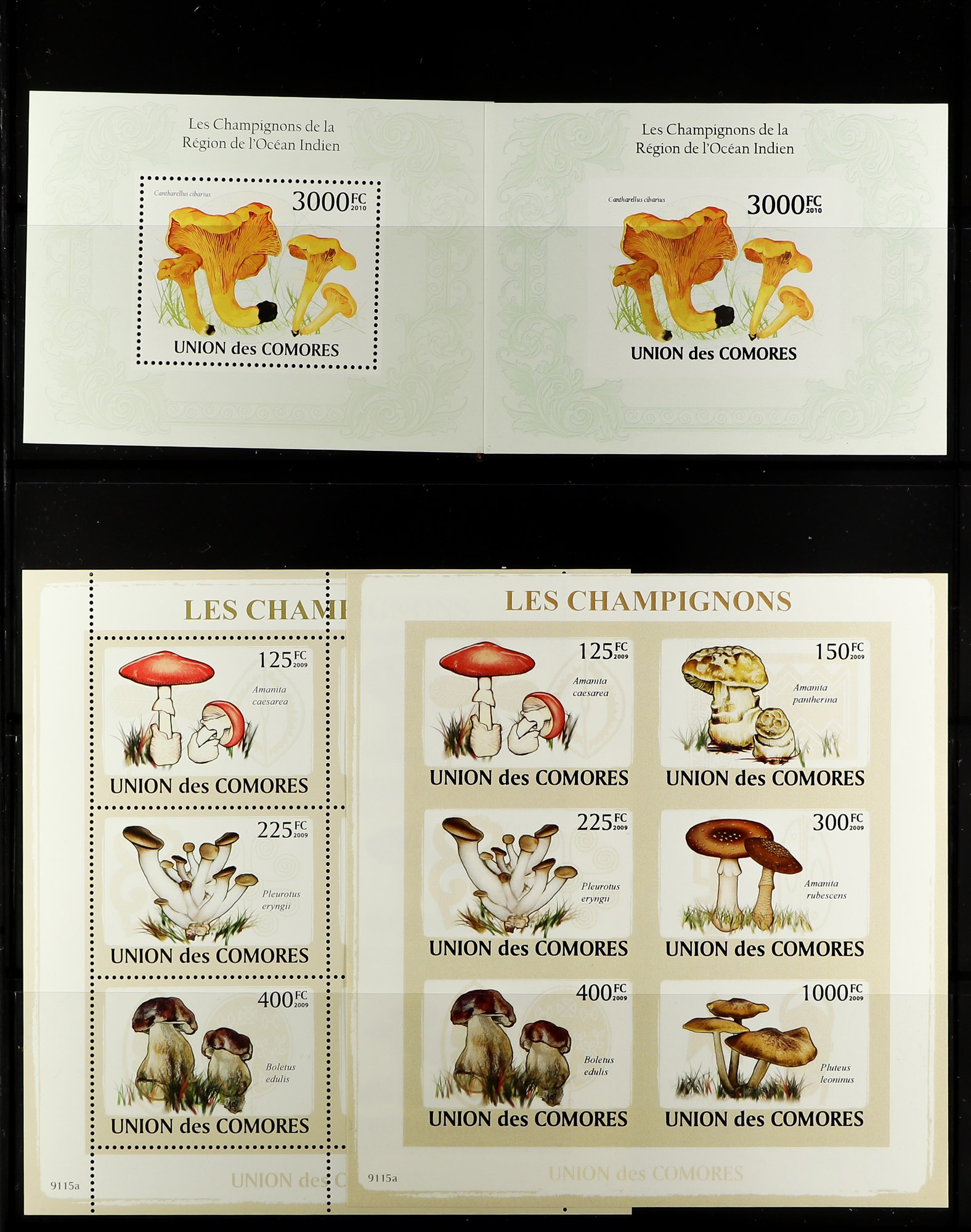 TOPICALS MUSHROOMS (FUNGI) OF COMORES 1985-2010 NEVER HINGED MINT collection, with imperf and perf - Image 8 of 10