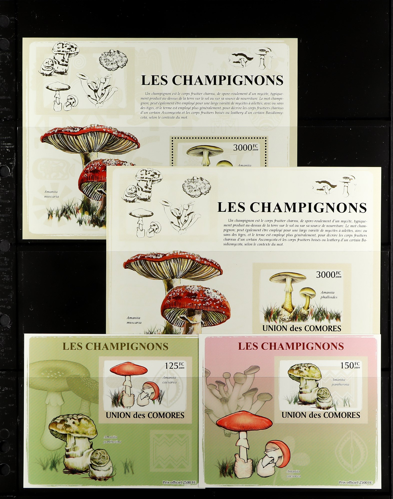 TOPICALS MUSHROOMS (FUNGI) OF COMORES 1985-2010 NEVER HINGED MINT collection, with imperf and perf - Image 9 of 10