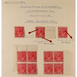 AUSTRALIA 1924-25 1½d scarlet Head no watermark (SG 84) - fine mint small study group on a page,