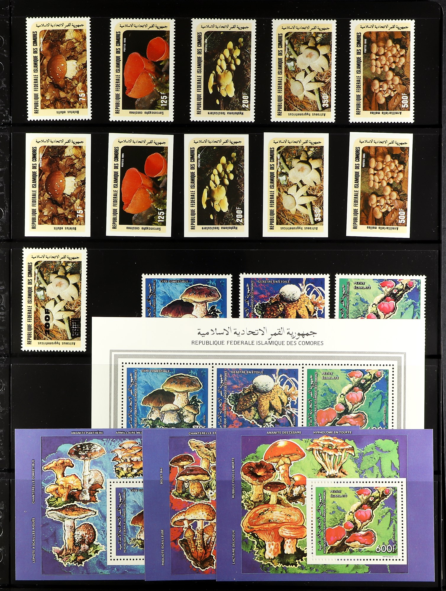 TOPICALS MUSHROOMS (FUNGI) OF COMORES 1985-2010 NEVER HINGED MINT collection, with imperf and perf
