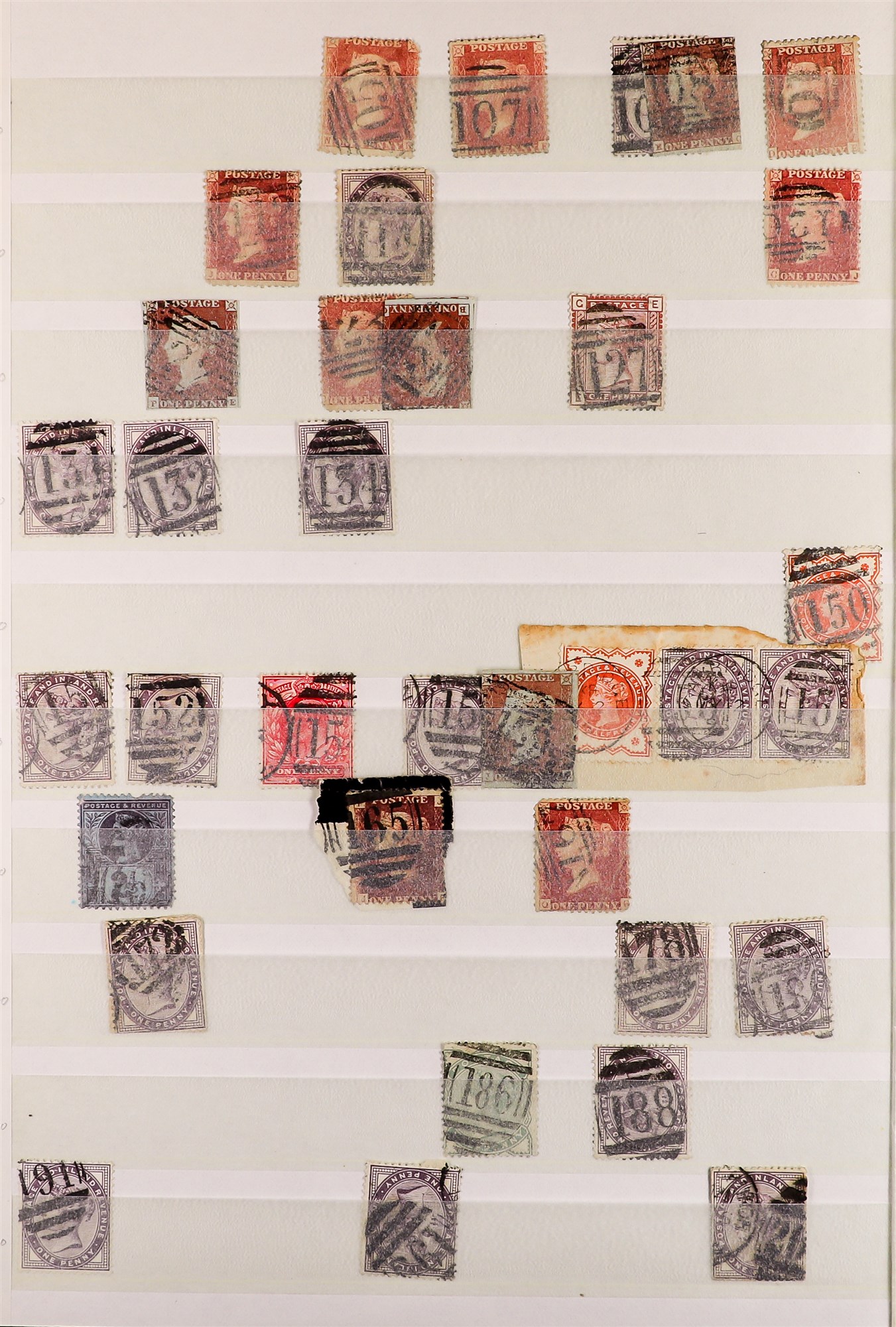 GREAT BRITAIN NUMERAL CANCELS COLLECTION a stockbook of QV-KE7 stamps displaying clear cancels, - Image 2 of 6