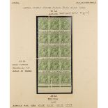 AUSTRALIA 1924-25 1d sage-green Head no watermark, SG 83, fine mint (most stamps are never hinged)