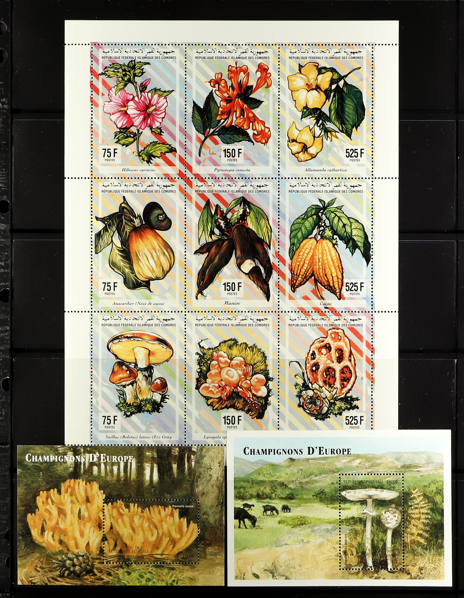 TOPICALS MUSHROOMS (FUNGI) OF COMORES 1985-2010 NEVER HINGED MINT collection, with imperf and perf - Image 2 of 10