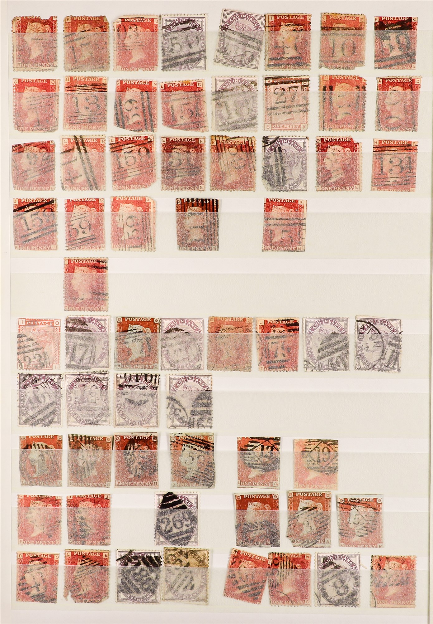 GREAT BRITAIN NUMERAL CANCELS COLLECTION a stockbook of QV-KE7 stamps displaying clear cancels, - Image 4 of 6