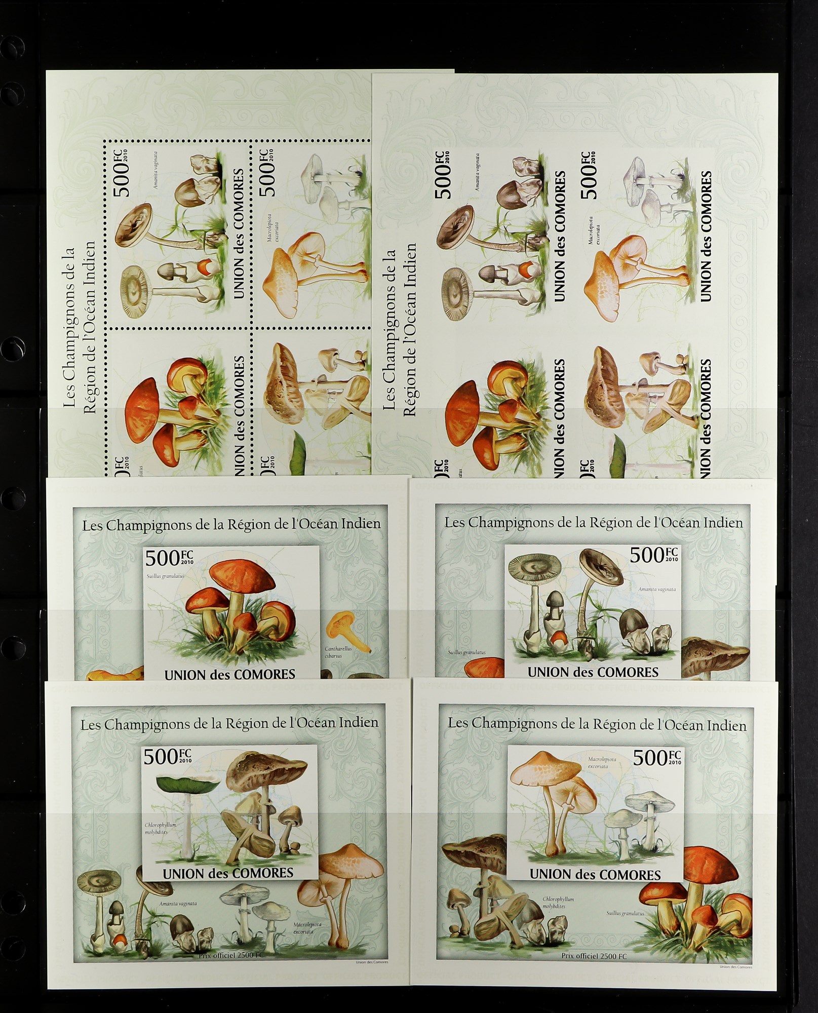 TOPICALS MUSHROOMS (FUNGI) OF COMORES 1985-2010 NEVER HINGED MINT collection, with imperf and perf - Image 7 of 10