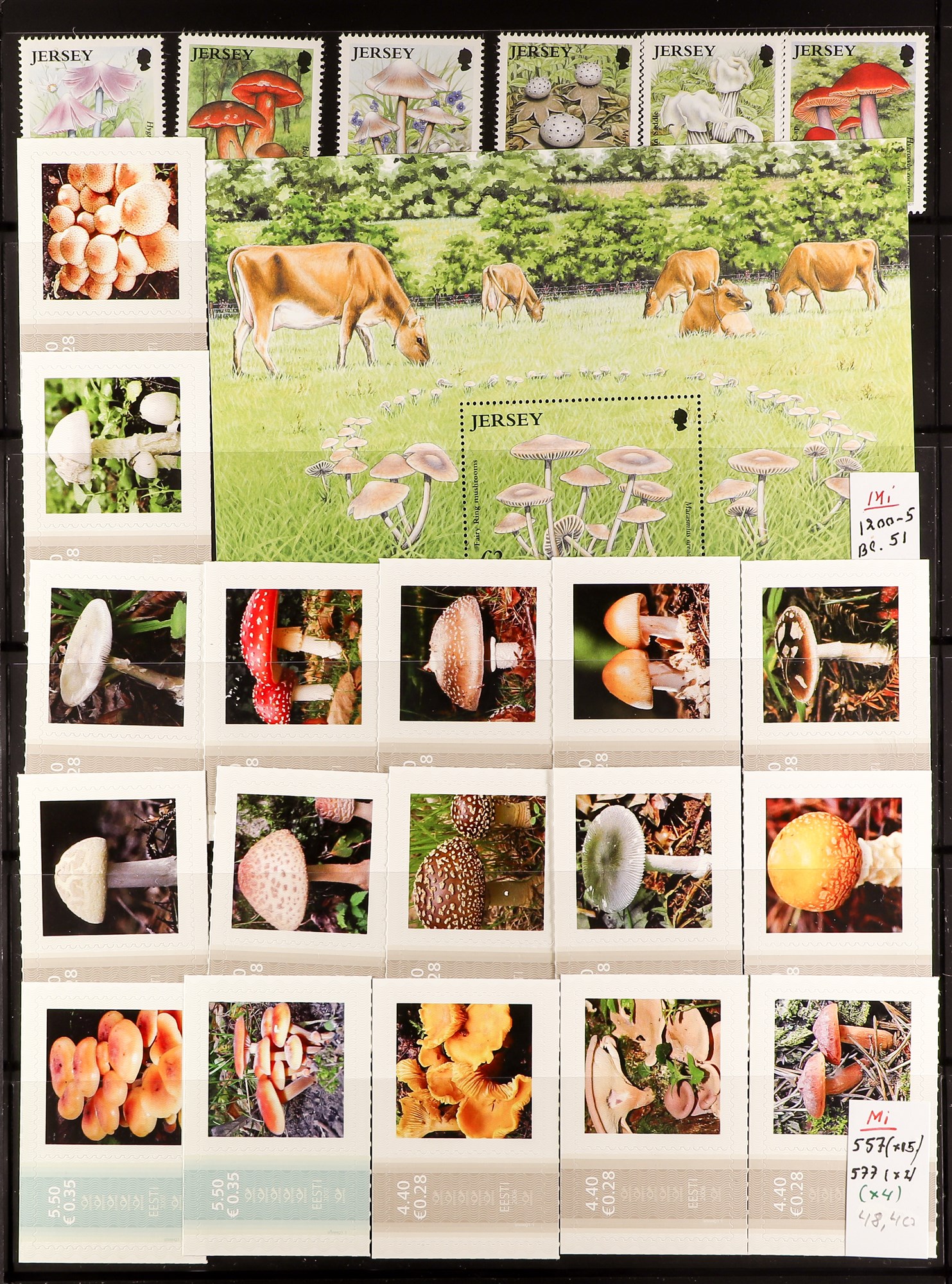 TOPICALS MUSHROOMS (FUNGI) OF EUROPE 1958-2018 never hinged mint collection of sets, miniature - Image 2 of 6