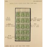 AUSTRALIA 1924-25 1d sage-green Head no watermark, SG 83, fine mint (most stamps are never hinged)