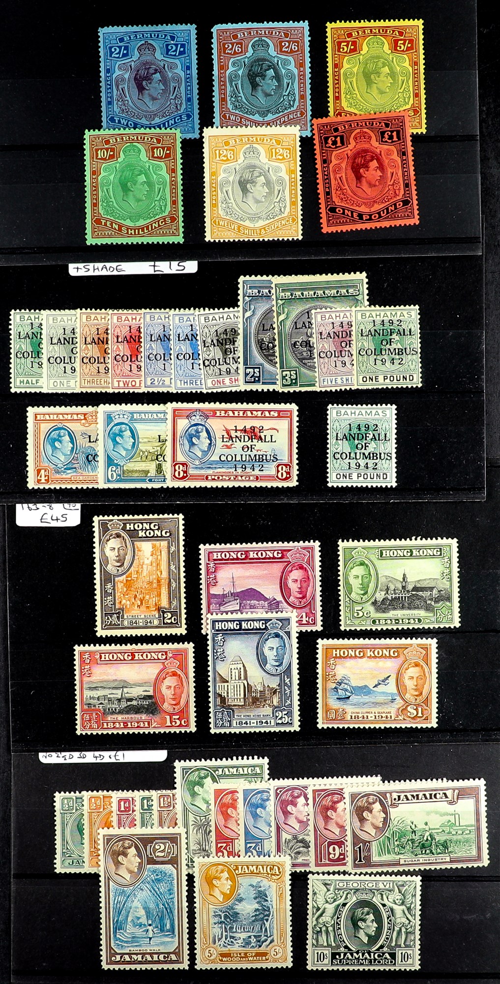 COLLECTIONS & ACCUMULATIONS COMMONWEALTH KGVI MINT RANGES S.T.C. £1200+ on stockcards, with Bermuda,