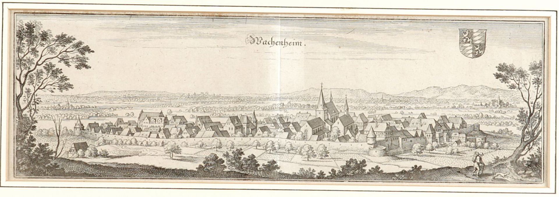 Panorama-Ansichten v. Wachenheim u. Reutlingen - Bild 2 aus 3