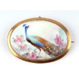 An oval porcelain panel brooch hand painted with a peacock within flowers, in a 9ct gold mount.