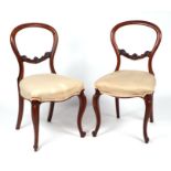 A pair of Victorian balloon back mahogany dining chairs with over-stuffed seats (2).