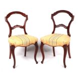 A pair of Victorian mahogany balloon back dining chairs with overstuffed seats (2).