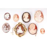 A group of mounted and unmounted shell cameos, the largest 4 by 5.5cms (8).