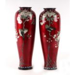 A pair of large Japanese cloisonne vases decorated with birds and flowers, on a red ground, 38cms