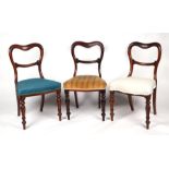 A set of three Victorian walnut balloon back dining chairs with overstuffed seats and turned front