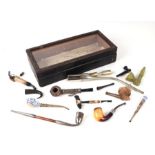 A small tabletop display case containing a selection of pipes to include Middle Eastern and