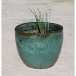 A large green glazed terracotta pot, 45cms diameter.