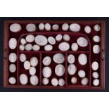 A collection of approximately 50 Grand Tour plaster intaglio's in a velvet lined mahogany tray.