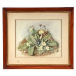 Victorian school - Still Life of Primroses - watercolour, framed & glazed, 27 by 22cms.