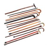 A large quantity of walking sticks to include silver mounted and horn handled examples.