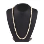 A single strand necklace of seventy cultured pearls (each 6mm diameter) with 9ct gold clasp.