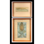 Tony Smith (mid century British) - Study of a Frog in Water from Above - watercolour, framed &