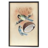 K E Hoy - a watercolour illustration depicting a blue & great tit feeding on a coconut husk,