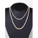 A graduated pearl necklace, 50cms long; together with another similar, 36cms long (2).