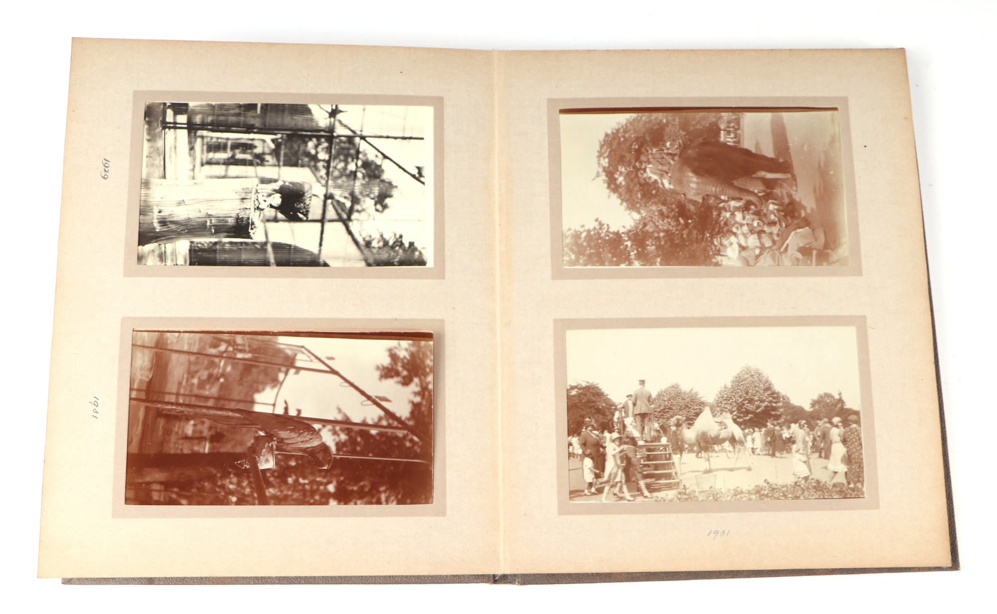 Two private photograph albums containing images of London Zoo between 1925 and 1935, each album - Image 42 of 60
