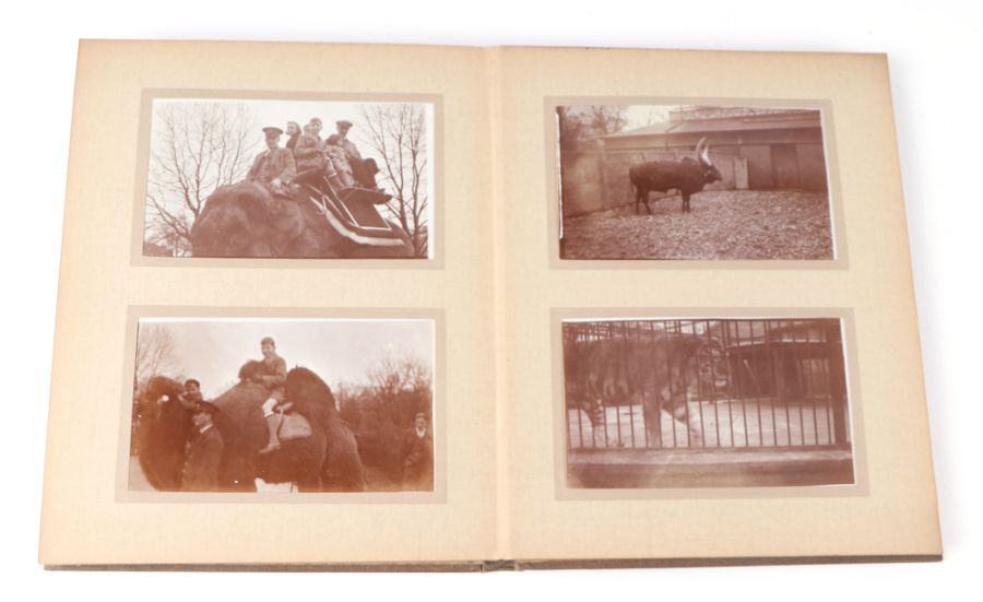 Two private photograph albums containing images of London Zoo between 1925 and 1935, each album - Image 28 of 60