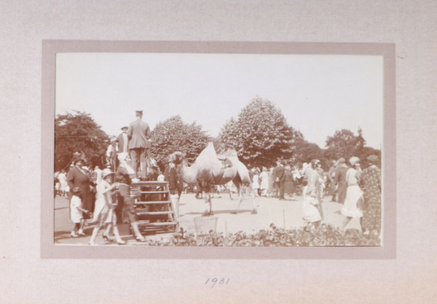 Two private photograph albums containing images of London Zoo between 1925 and 1935, each album - Image 14 of 60