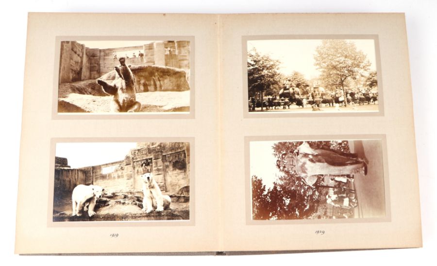 Two private photograph albums containing images of London Zoo between 1925 and 1935, each album - Image 8 of 60